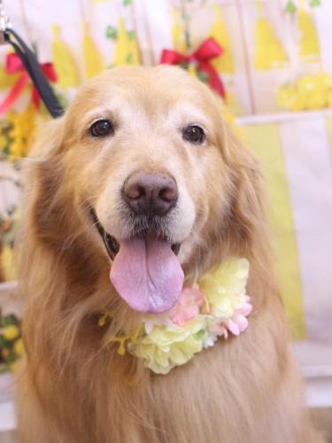 20240416五助くん